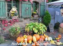 Hofverkauf in dingen