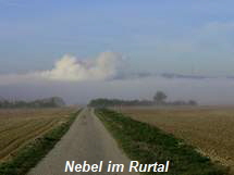 Nebel im Rurtal