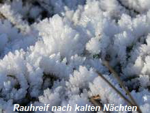 Rauhreif nach kalten Nchten